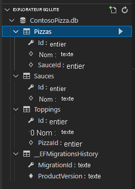 Capture d’écran montrant le dossier SQLite Explorer développé dans le volet Explorateur.