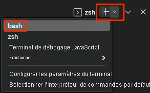 Capture d'écran de Visual Studio Code montrant l'emplacement de l'interpréteur de commandes Bash.