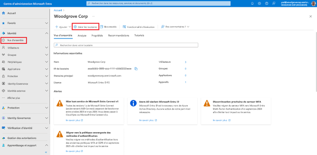 Capture d’écran de la page Vue d’ensemble des identités. Le bouton de barre d’outils intitulé Gérer les locataires est mis en évidence.