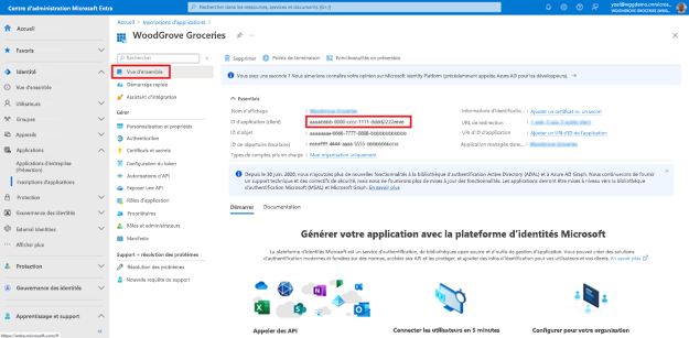 Capture d’écran montrant Inscriptions d’applications avec Vue d’ensemble dans le volet de navigation gauche mis en évidence. L’ID d’application (client) est également mis en évidence sous Informations de base.