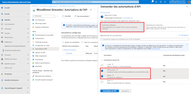 Capture d’écran du volet Demander des autorisations d’API ouvert à droite avec un groupe de choix intitulé Autorisations déléguées mis en évidence et autorisations offline_access et openid cochées en dessous.