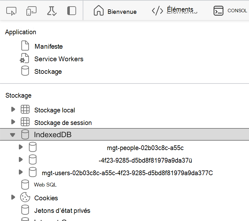 Capture d’écran de la section IndexedDB avec les données mises en évidence dans les outils de développeur du navigateur