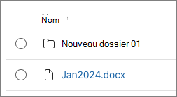 Capture d’écran du nouveau dossier dans le conteneur.