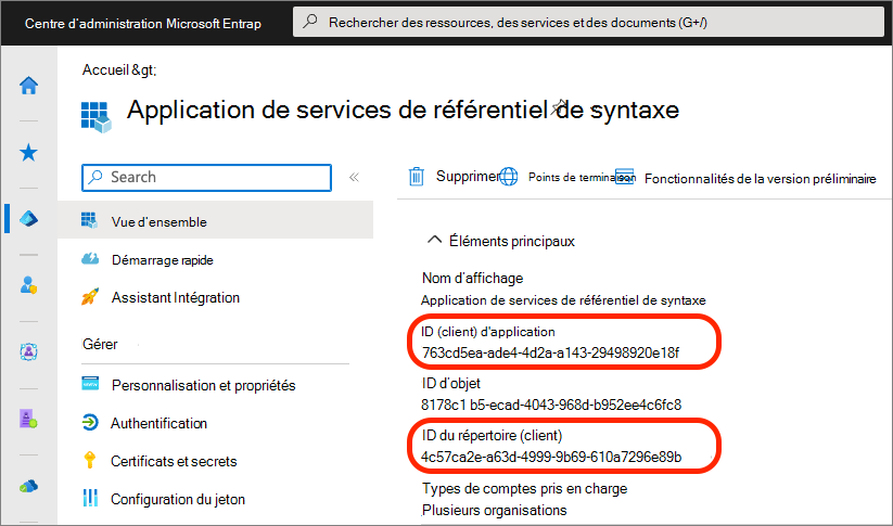 Capture d’écran des ID d’application et de locataire de la nouvelle inscription d’application.