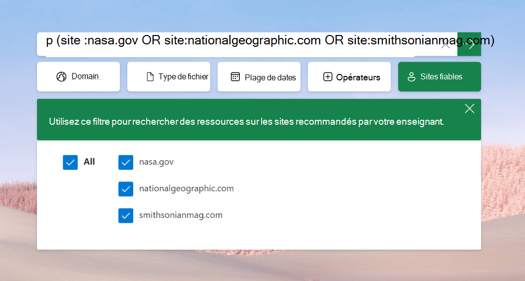 Capture d’écran d’un exemple de filtre personnalisé dans Assistant de recherche.