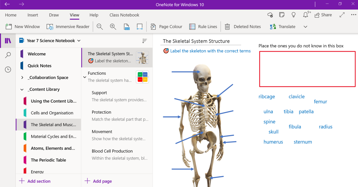 Capture d'écran d'une page d'apprentissage du cahier de classe OneNote. La page contient une tâche sur la structure du système squelettique et une image 3D d'un squelette. Les étudiants sont invités à étiqueter les os à l'aide des différents mots fournis.  Une zone est également prévue pour que les étudiants fassent glisser les mots qu'ils ne connaissent pas.