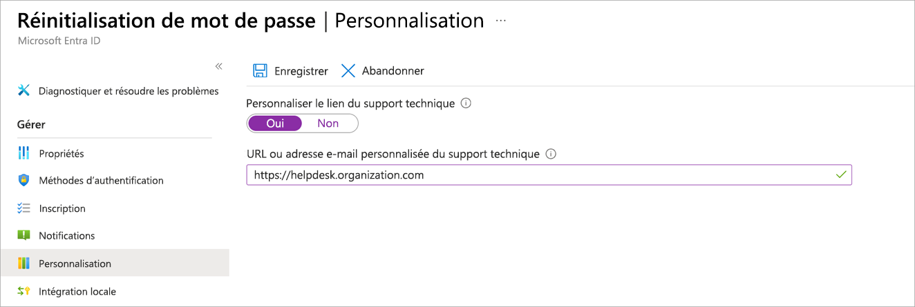 Capture d’écran du panneau Réinitialisation du mot de passe affichant les options du support technique, avec l’option Personnalisation sélectionnée.