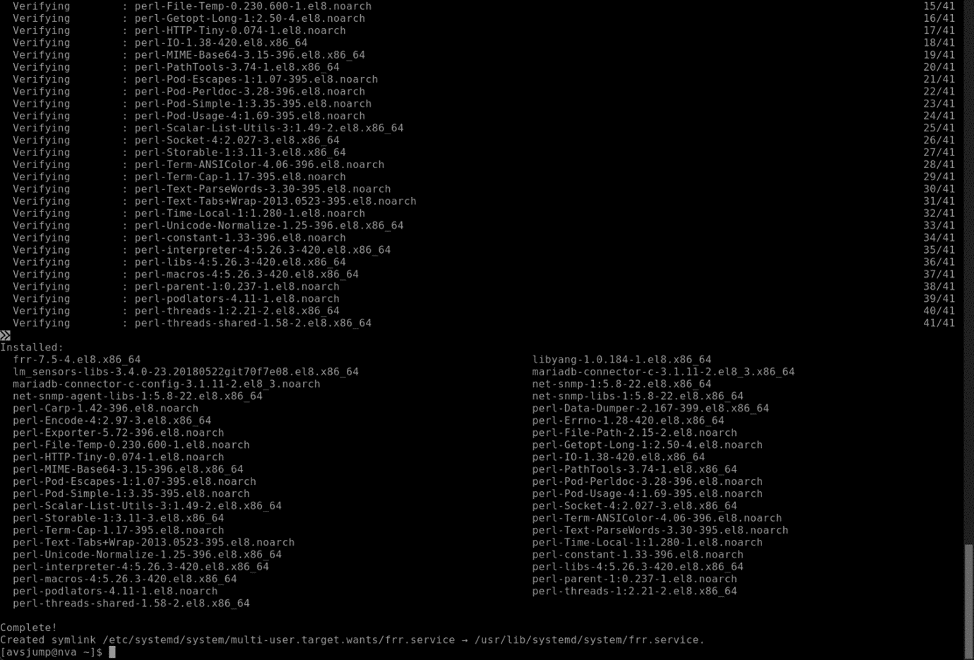 Capture d’écran de l’exécution de script sur une machine virtuelle NVA. Capture d’écran montrant qu’il n’y a aucune erreur à la fin de l’exécution du script.