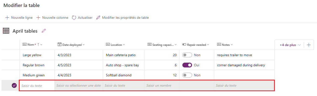 Capture d’écran illustrant la table avec trois entrées et une ligne vide mise en évidence affichant des invites de texte d’information. 