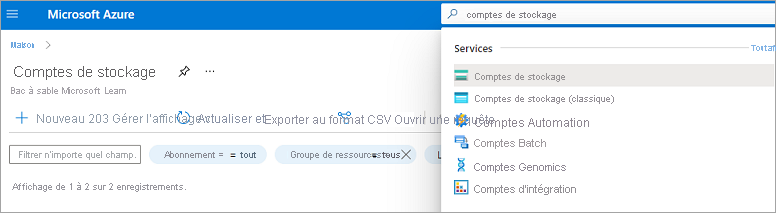 Capture d’écran montrant les résultats de recherche de comptes de stockage