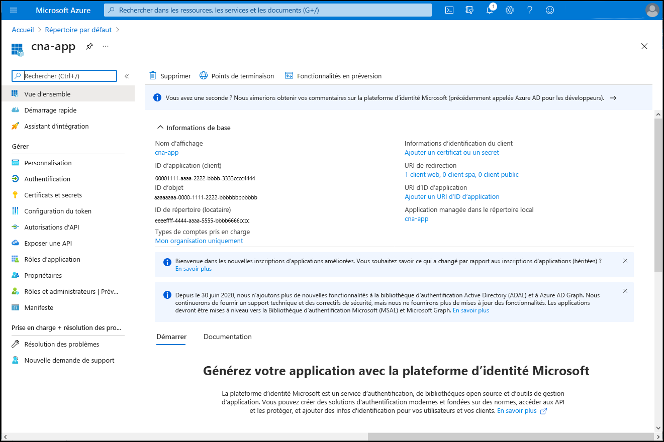 Capture d’écran du volet cna-app dans le Portail Azure.