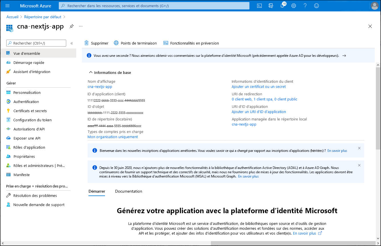 Capture d’écran du volet cna-nextjs-app dans le Portail Azure.