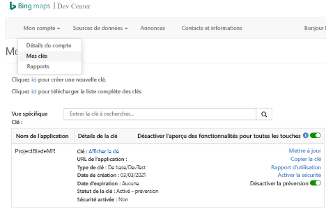 Capture d’écran du portail du centre de développement Bing Maps avec la page Mes clés sélectionnée montrant les champs de propriété pour créer une clé.