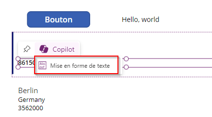 Capture d’écran de l’option Mise en forme du texte sélectionnée.