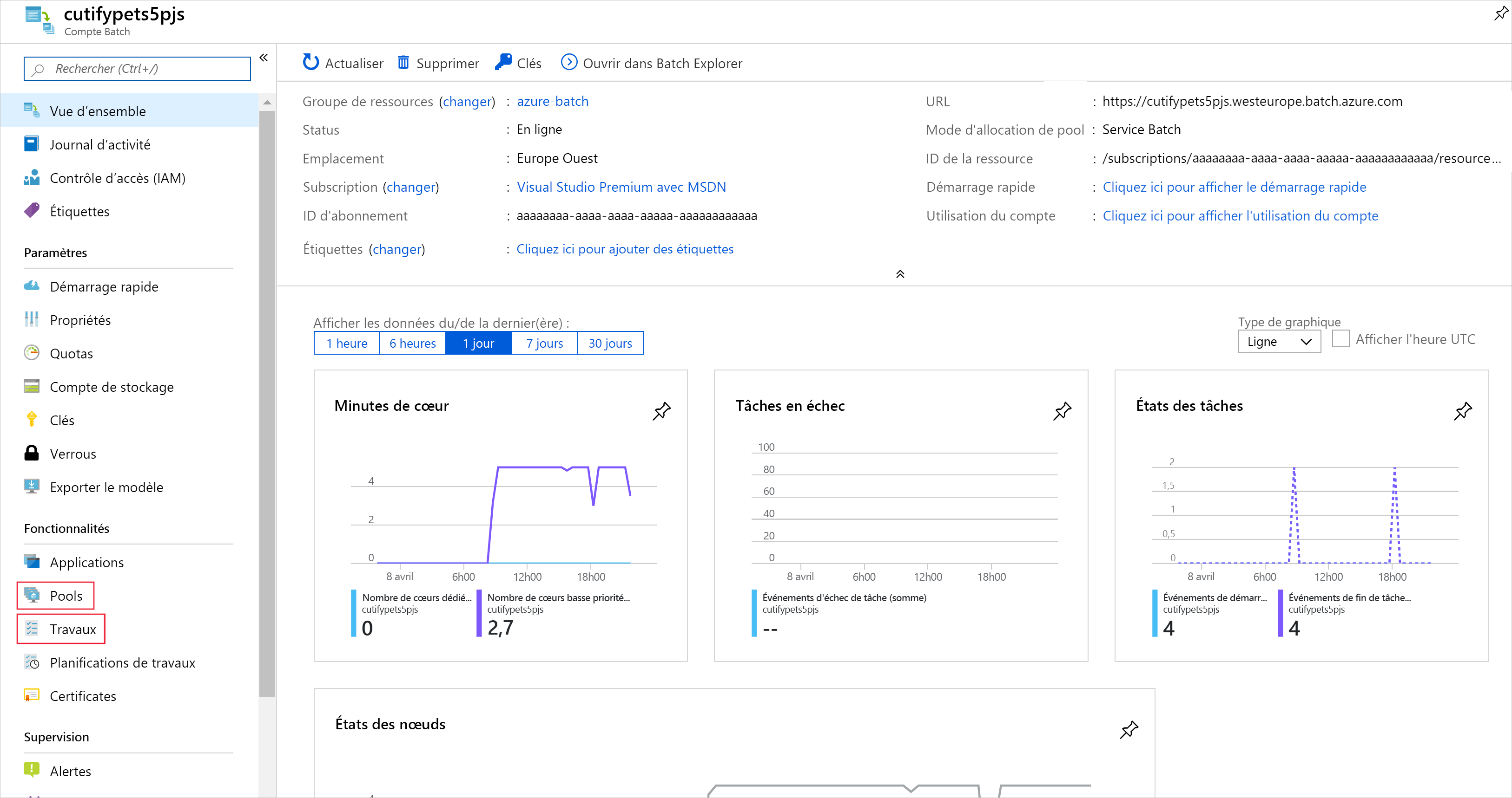 Screenshot of the Overview page of the Batch account.