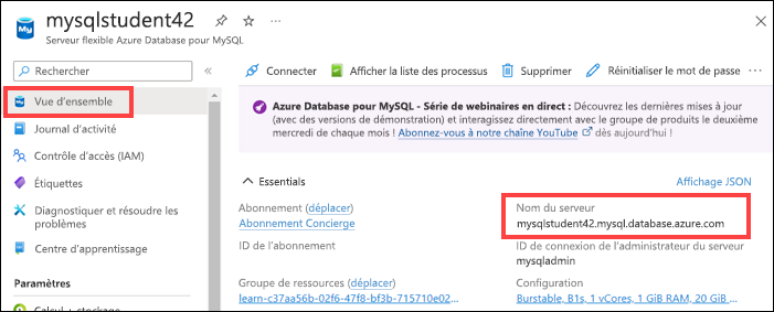 Capture d’écran montrant l’élément de menu Vue d’ensemble mis en évidence dans le menu de gauche et le nom du serveur mis en évidence dans la section Fonctionnalités essentielles.