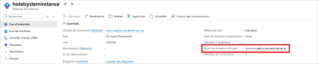 Capture d’écran montrant le volet Nouveau dans le Portail Azure où sont affichées les propriétés de conteneur, avec mise en surbrillance du nom de domaine complet.