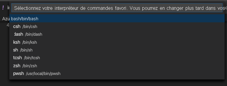 Capture d’écran montrant la sélection d’un interpréteur de commandes dans le menu déroulant.