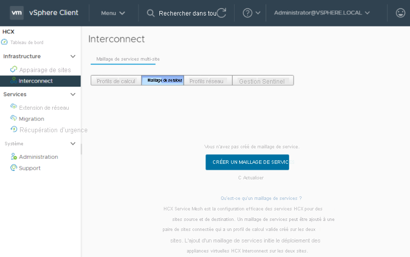 Screenshot of options to select when you're creating a service mesh between the on-premises HCX Connector and Azure VMware Solution.