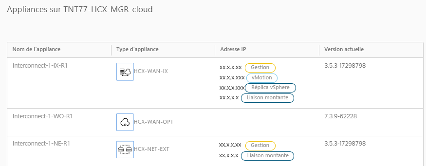 Screenshot of interconnect appliances that were deployed to Azure VMware Solution by enabling the service mesh.