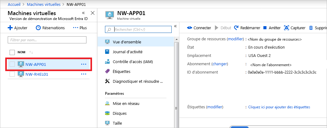 Capture d’écran montrant la page Vue d’ensemble de la machine virtuelle.