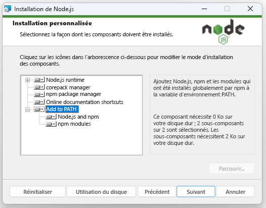 Capture d’écran montrant l’installation personnalisée des options Node.js dans l’Assistant.