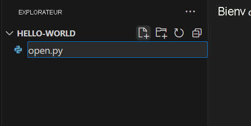 Screenshot showing the creation of a new Python file in Visual Studio Code. 