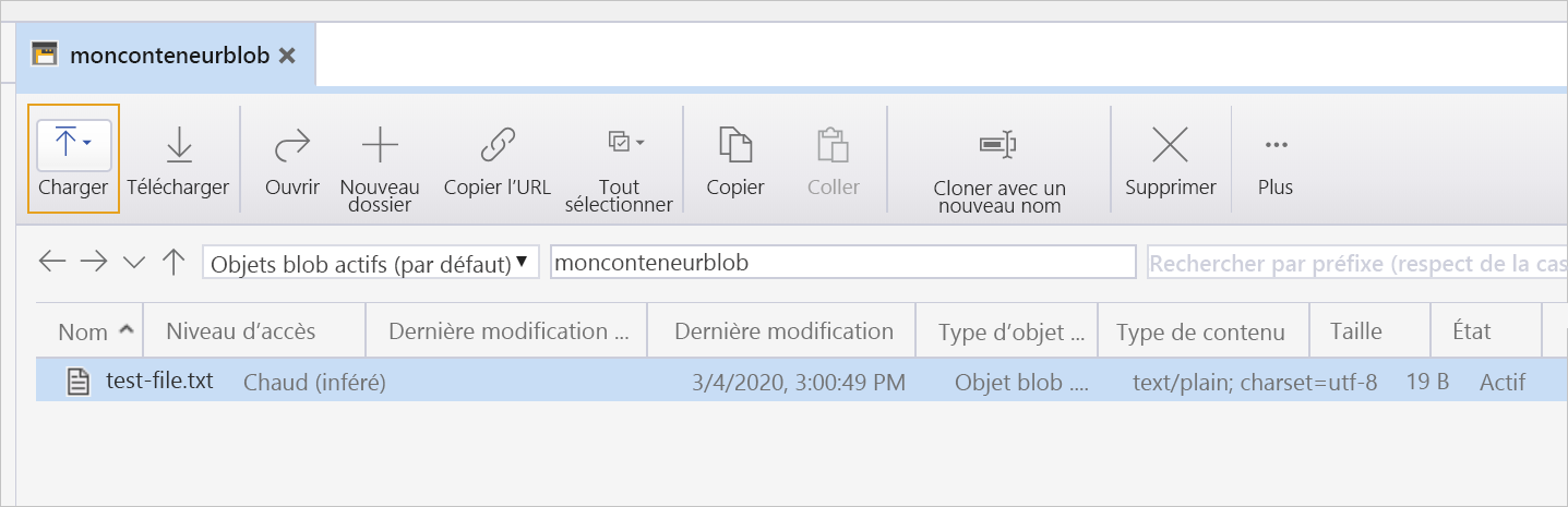 Capture d’écran montrant le fichier dans le compte de stockage.