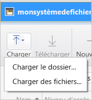 Capture d’écran montrant les options de chargement.