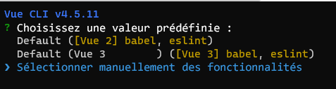 Capture d’écran d’un menu avec l’option permettant de sélectionner manuellement les fonctionnalités mise en évidence.