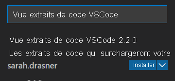 Capture d’écran des résultats de la recherche pour Vue VSCode Snippets.