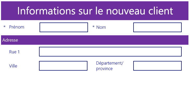 Capture d’écran d’une vue différente du formulaire Nouvelles informations client.