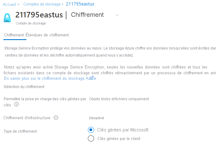 Capture d’écran montrant le chiffrement du Stockage Azure, notamment les clés gérées par Microsoft et les clés gérées par le client.