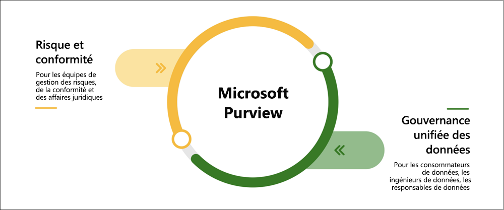 Illustration des domaines principaux de Microsoft Purview.