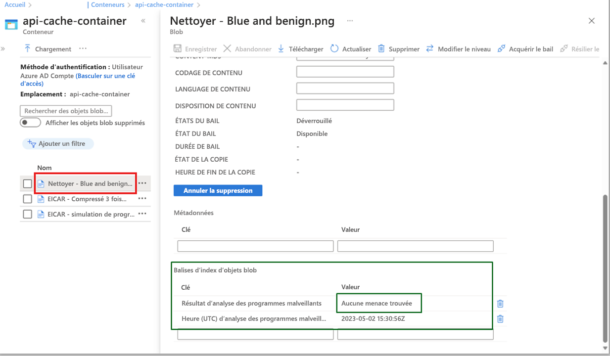 Capture d’écran montrant les résultats de l’analyse des programmes malveillants et l’analyse du temps universel coordonné dans les métadonnées de l’objet blob.
