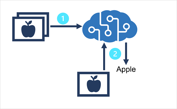 Modèle de service Azure AI Custom Vision formé à partir d’images existantes et qui prédit les classes de nouvelles images