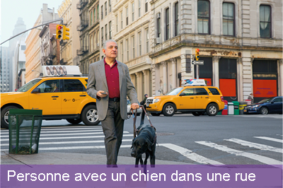 An image of a person with a dog on a street and the caption 