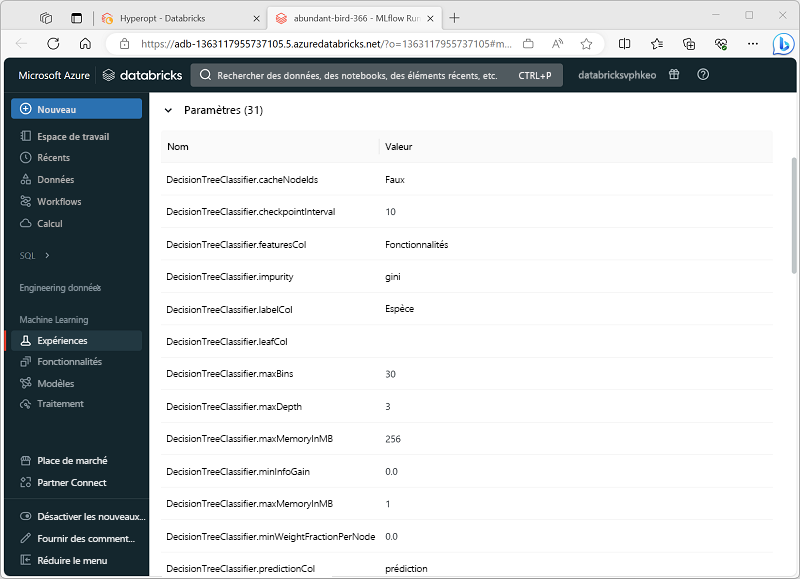 Capture d’écran de l’exécution de MLflow pour une version d’évaluation Hyperopt.