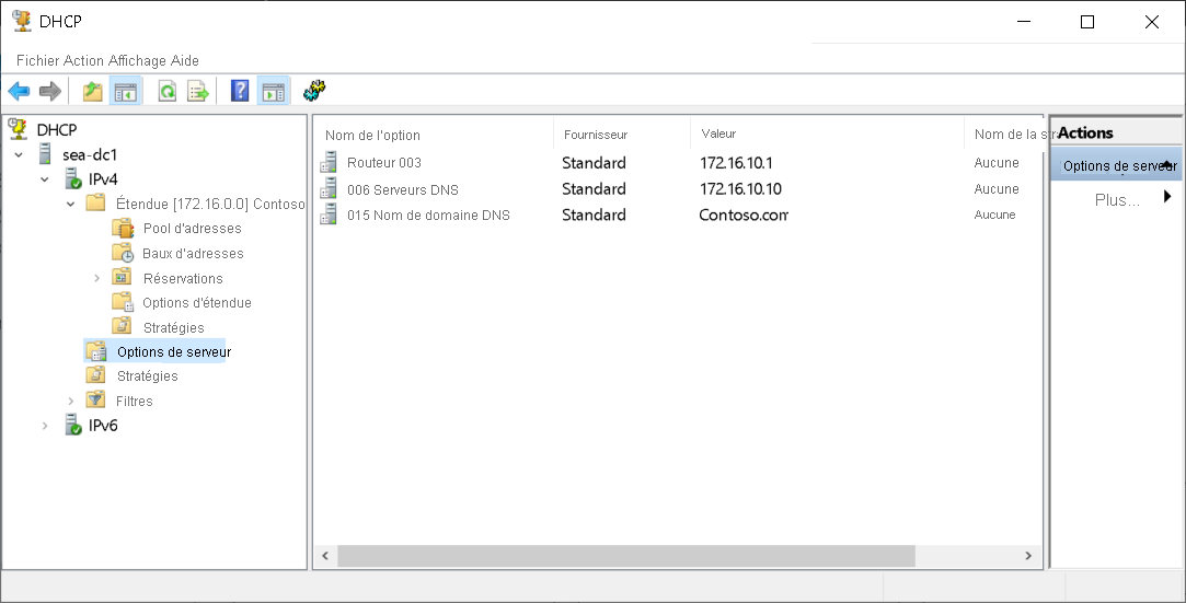 A screenshot of the DHCP console. The administrator has selected the Server Options node in the navigation pane. Three options are displayed: 003, 006, and 015.