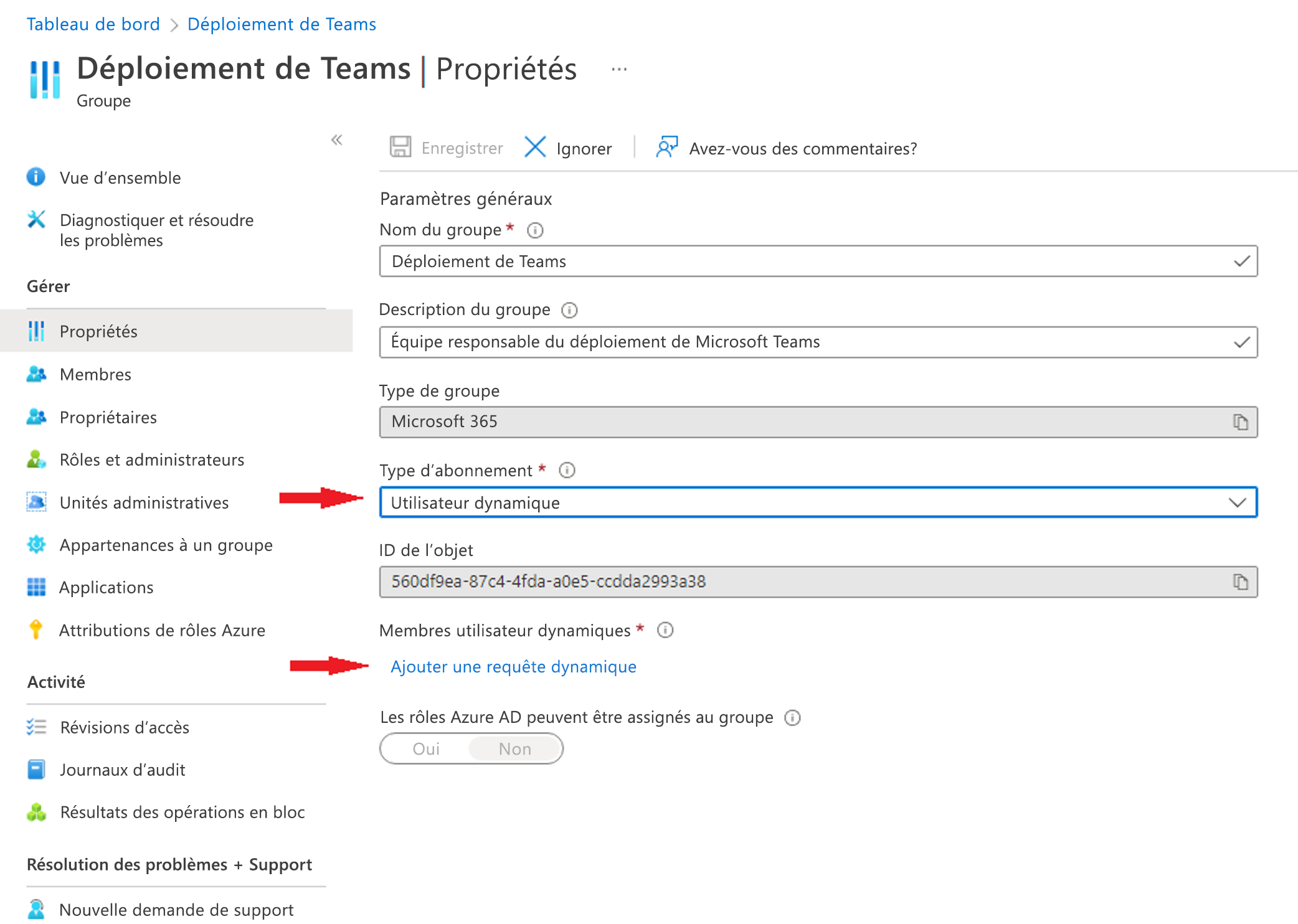 Capture d’écran du type d’appartenance dans l’ID Microsoft Entra.