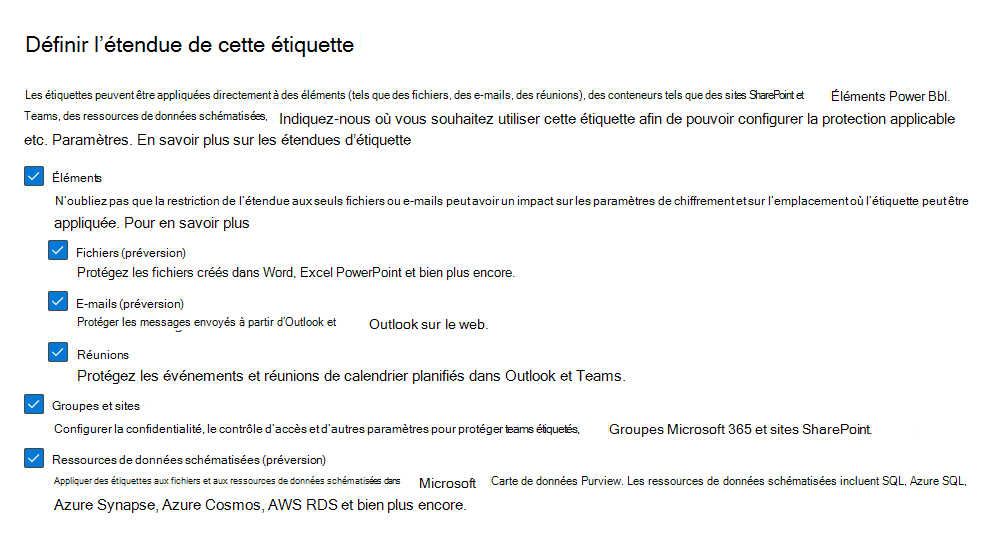 Capture d’écran montrant l’option ressources Azure Purview pour définir une étendue d’étiquette.