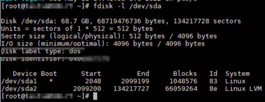 Capture d’écran montrant le démarrage avec le type de table de partition.