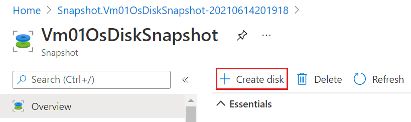 Capture d’écran du panneau d’aperçu d’un instantané avec l’option de création de disque mise en surbrillance.