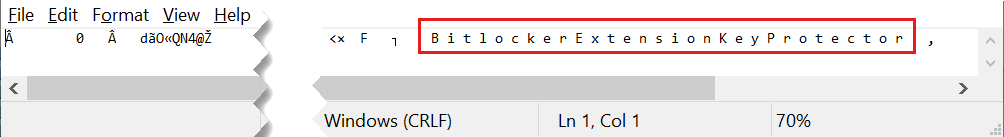 Capture d’écran d’un fichier texte ouvert dans le Bloc-notes, avec les mots Bitlocker Extension Key Protector mis en surbrillance.