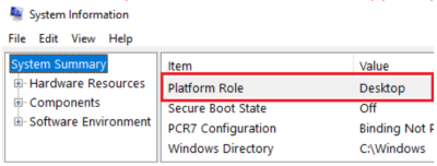 capture d’écran de msinfo32.exe profil.