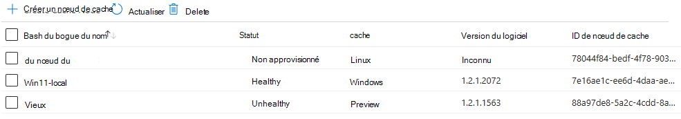 Capture d’écran des détails du nœud de cache dans l’interface Portail Azure.