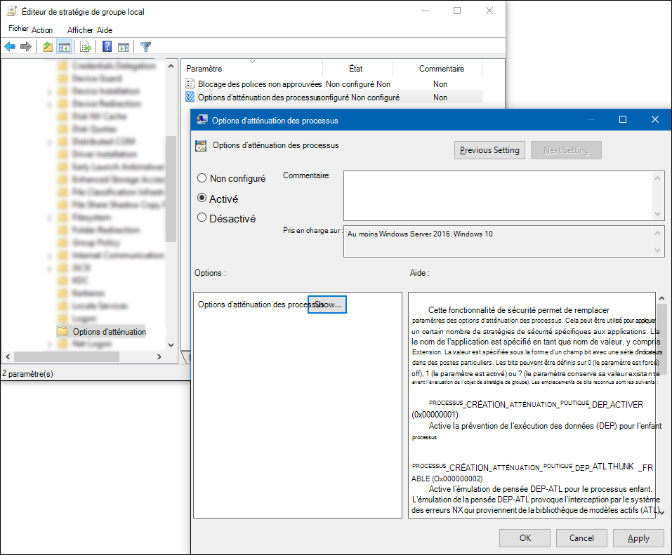 Capture d’écran de l’éditeur de stratégie de groupe : Options d’atténuation des processus avec le paramètre activé et le bouton Afficher actif.