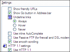 capture d’écran des options d’Internet Explorer pour définir la valeur des cases d’case activée et des cases d’option