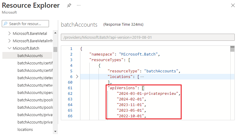 Screenshot della visualizzazione di versioni API valide per un tipo di risorsa in Azure Resource Explorer.