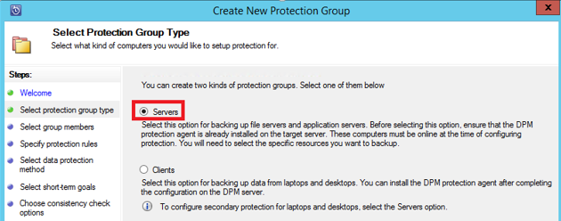 Screenshot che mostra come selezionare il tipo di gruppo Protezione server.